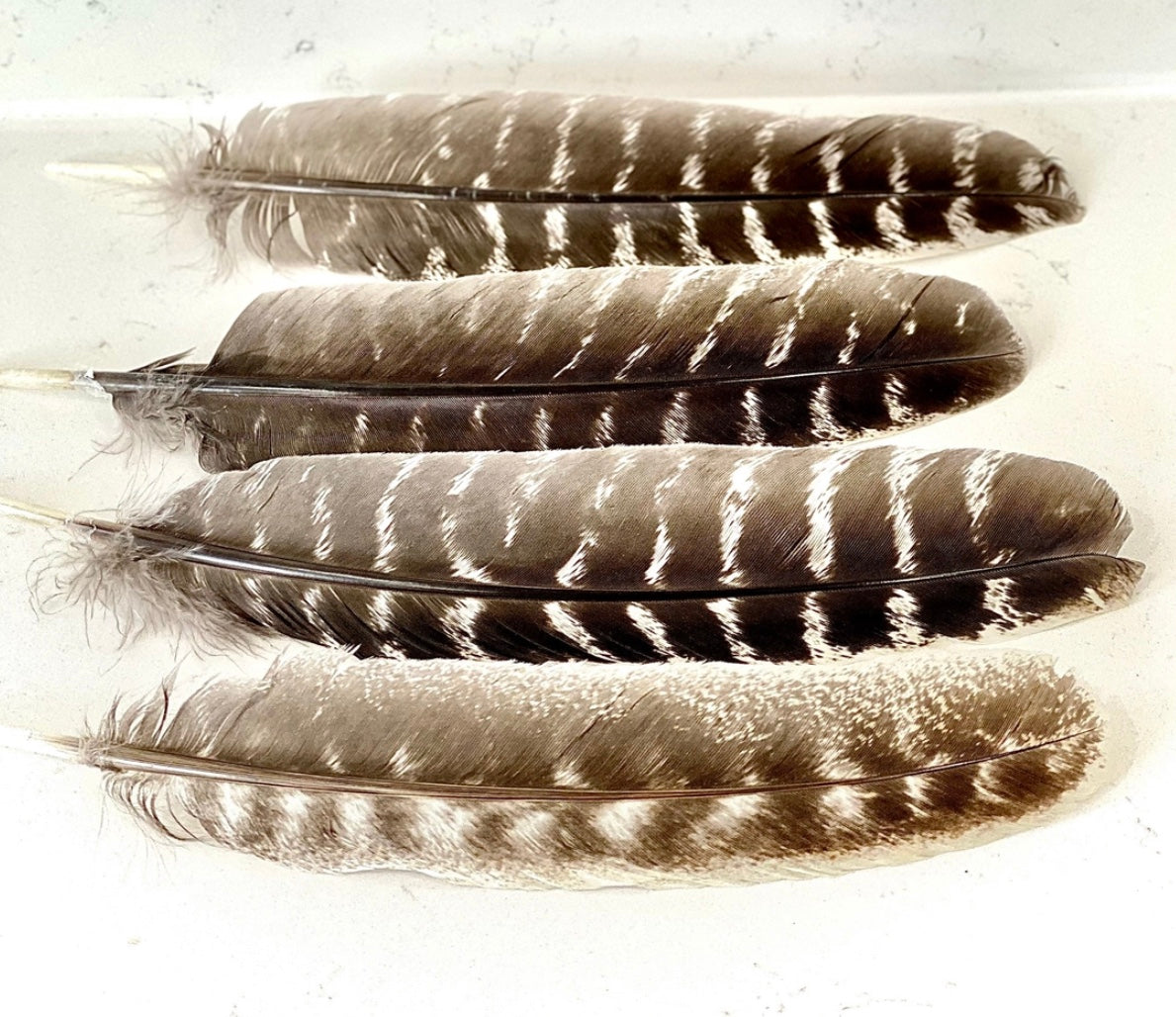 Feathers for Smudging