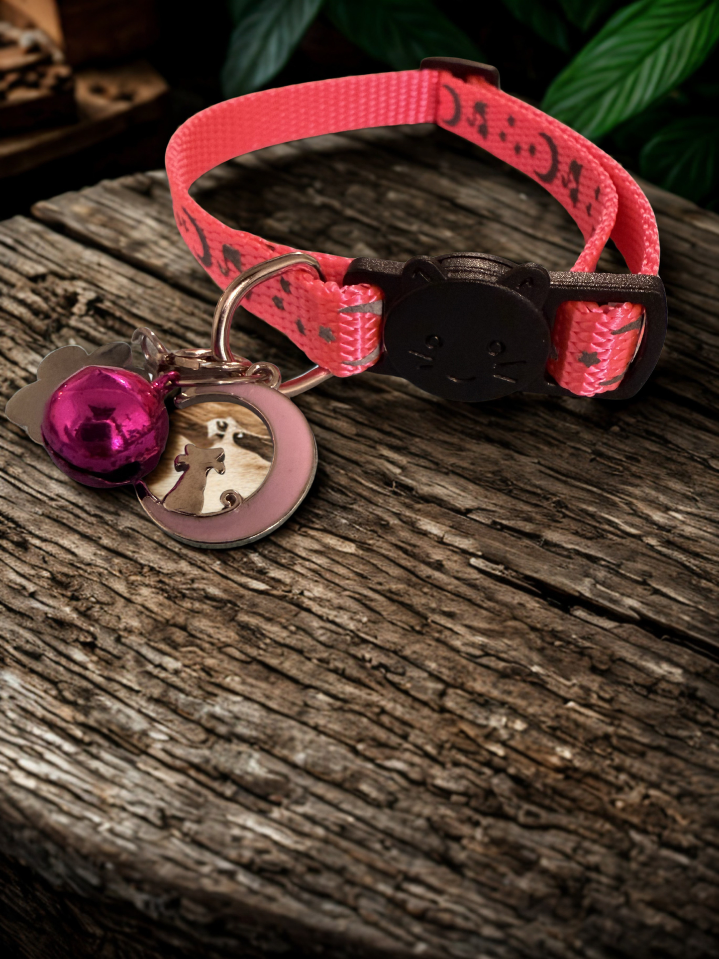 Celestial Whiskers Cat Collar | Moon & Star Collars with Charms