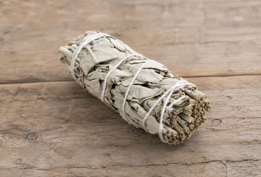 Organic California White Sage Smudge Bundle | 1 Piece | Hand-Harvested | Sustainably Grown
